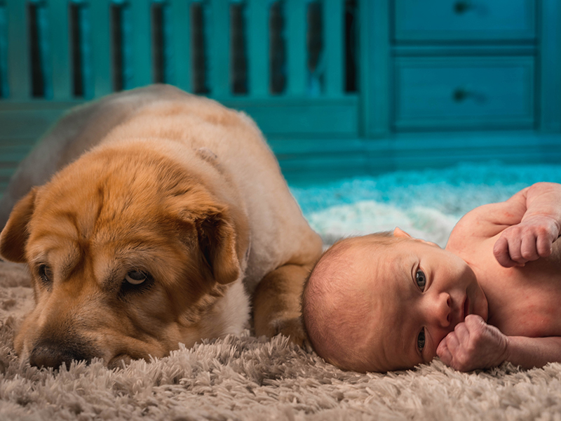 Natura e cani giovano al microbioma infantile