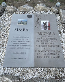 SIMBA & BRICIOLA